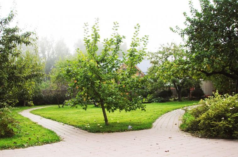 Apartamentai Obelyne Palanga Exterior foto